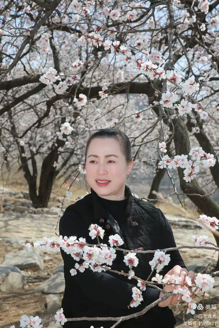 走进泉子杏花林(二)